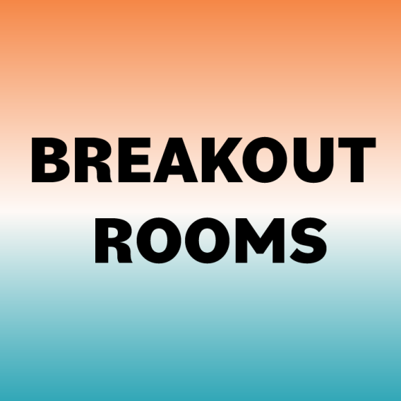 RExpo Breakout Rooms