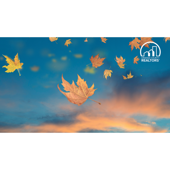 Represent OCR in your next virtual meeting