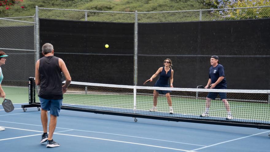 Pickleball 2025