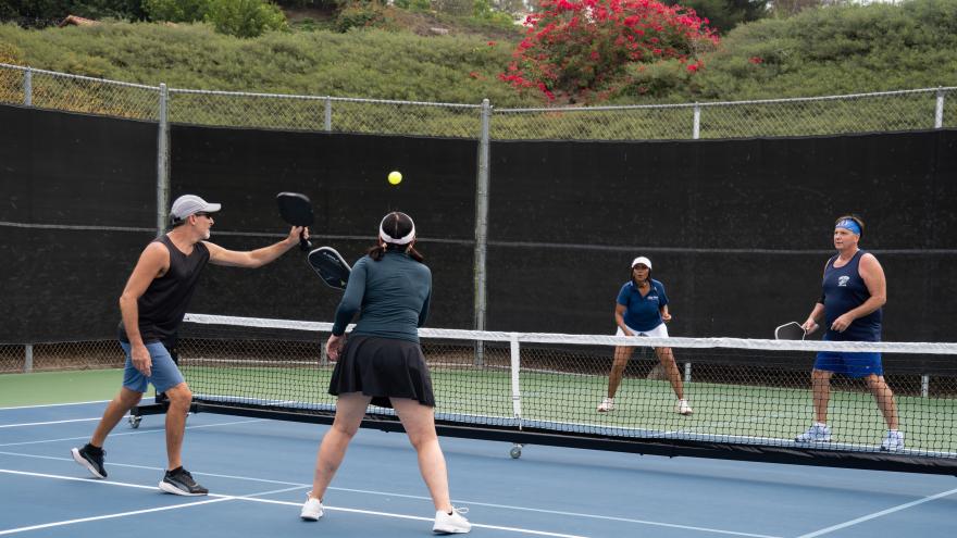 Pickleball 2025