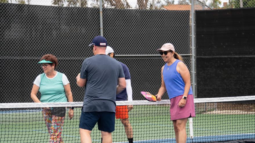 Pickleball 2025
