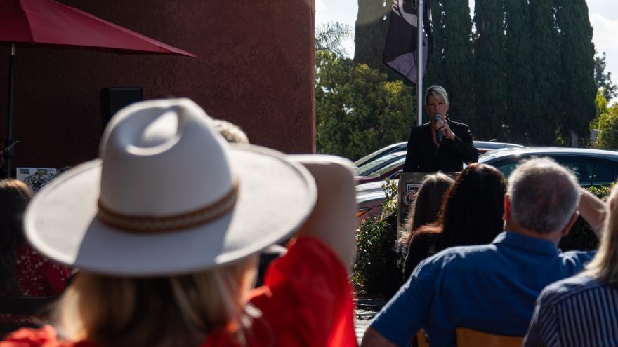 Veterans Day Flag Raising Ceremony