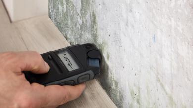 MOLD: What You Need to Know About Mold & How to Read Air Sampling Reports